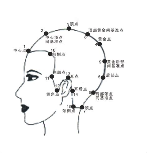 頭部七條基準線中 耳點與頸側點的連線是